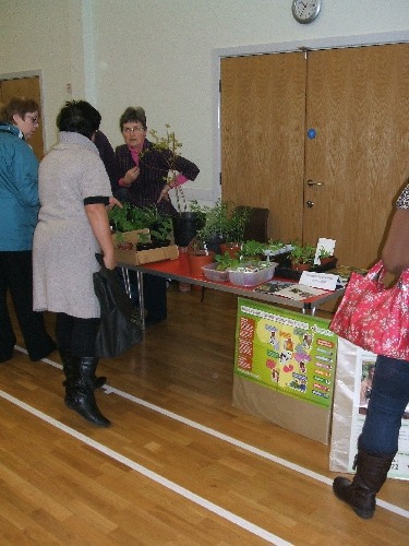 plant_sale1
