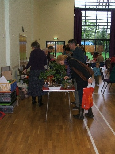 plant_sale2