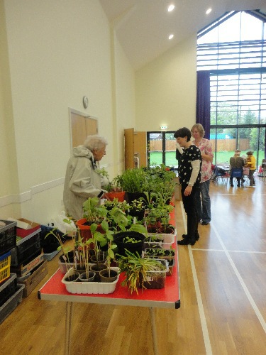 plant_sale3