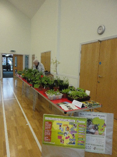 plant_sale4