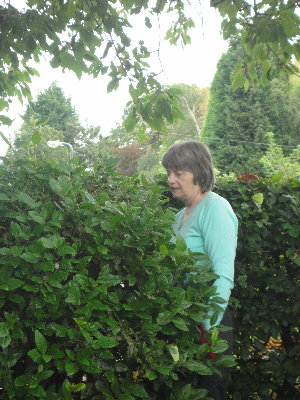 vicarage-garden-wp2