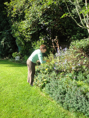 vicarage-garden-wp8