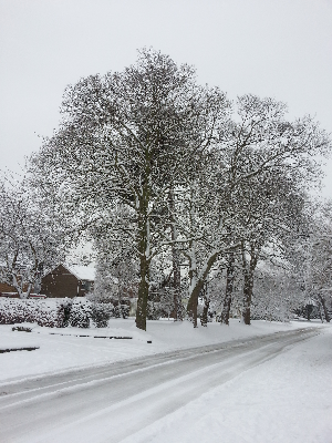 village-snow-2013-3