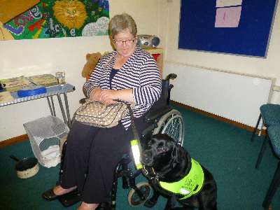 wa_dogs4disabled1