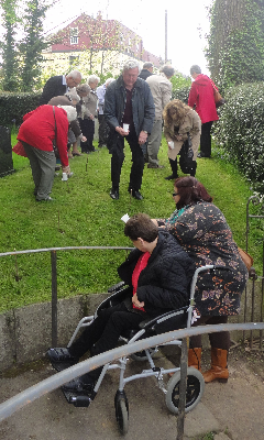 poppyplanting2