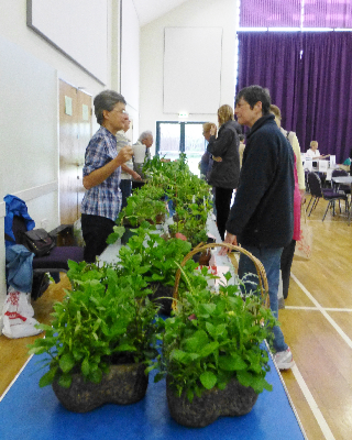 charitycoffeemorning_2016_2