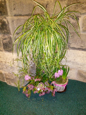 easterflowers_2016_22